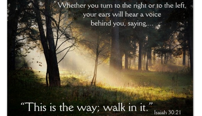 Whose Voice Is Leading You?