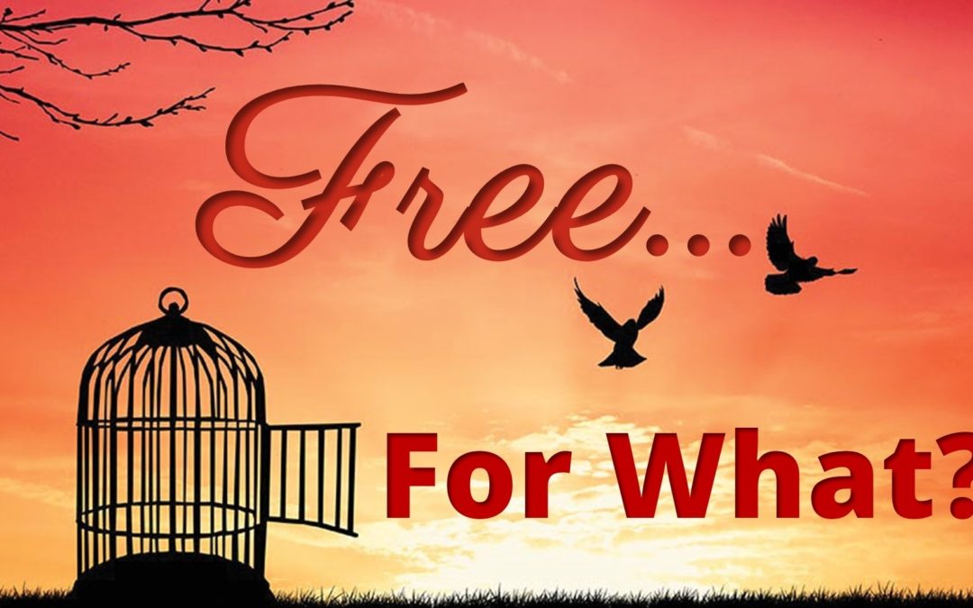 Free For What?