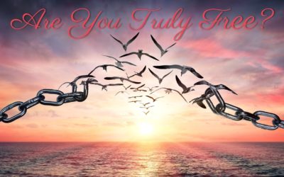 Are You Truly Free?